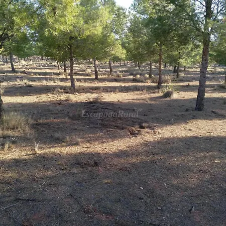 Miramontes Country house Villena